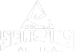 Scorpius Tactical Logo of Scorpion in a triangle shape above Scorpius Tactical in brand font